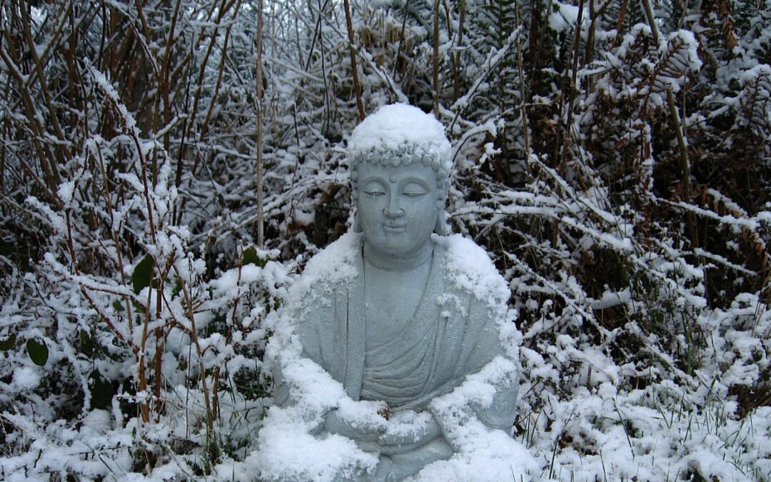 Winter Solistice, the a journey to your inner self and the beginning of a new cycle .
